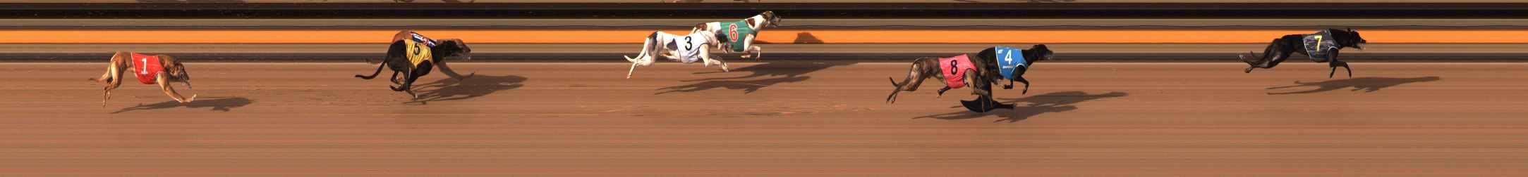 Photo finish for Ballarat Race 11
