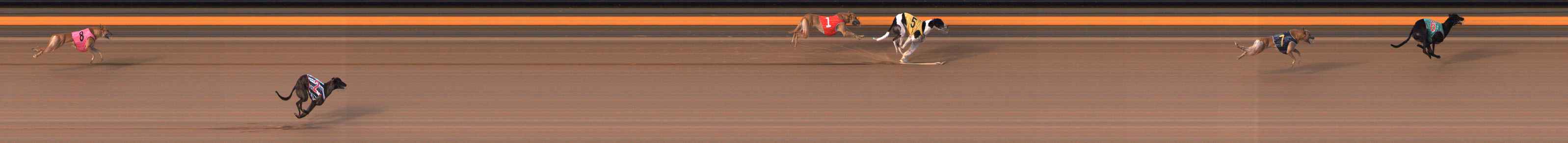 Photo finish for Ballarat Race 12