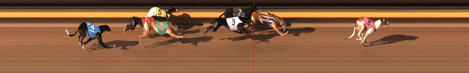 Photo finish for Ballarat Race 13