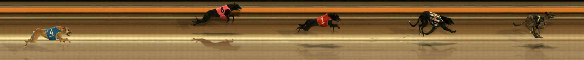 Photo finish for Ballarat Race 1