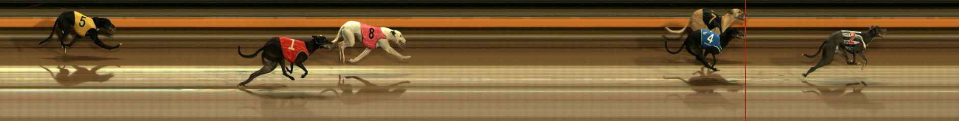 Photo finish for Ballarat Race 2