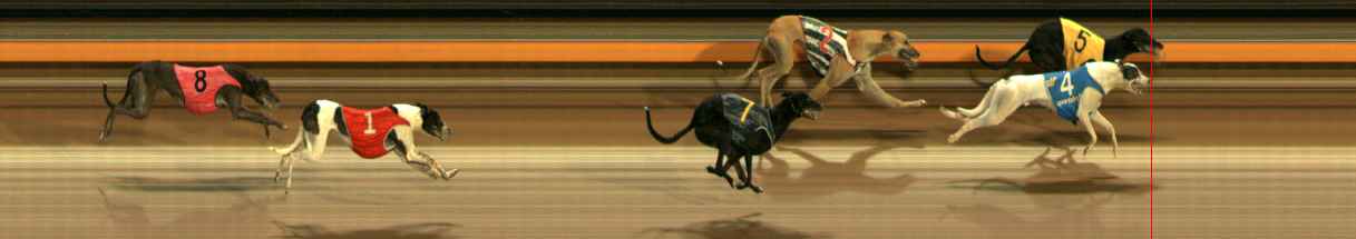 Photo finish for Ballarat Race 3