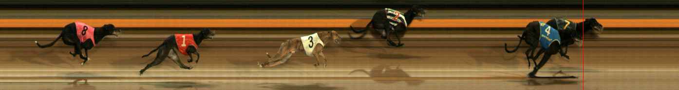 Photo finish for Ballarat Race 5