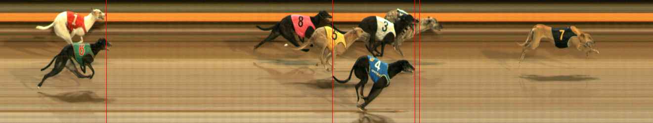 Photo finish for Ballarat Race 8
