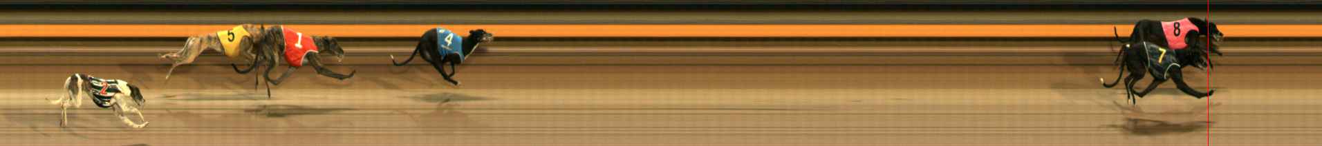 Photo finish for Ballarat Race 10