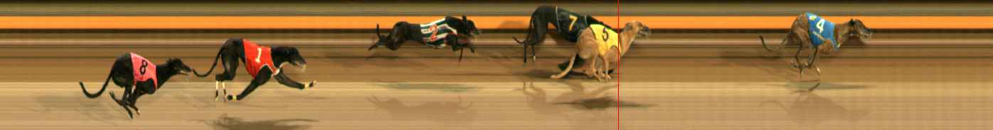 Photo finish for Ballarat Race 11