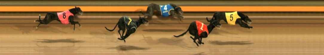 Photo finish for Ballarat Race 12