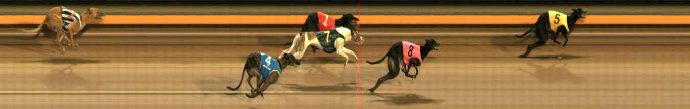 Photo finish for Ballarat Race 13