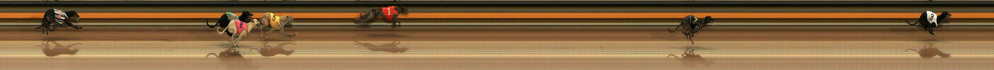 Photo finish for Ballarat Race 1