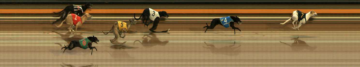 Photo finish for Ballarat Race 2