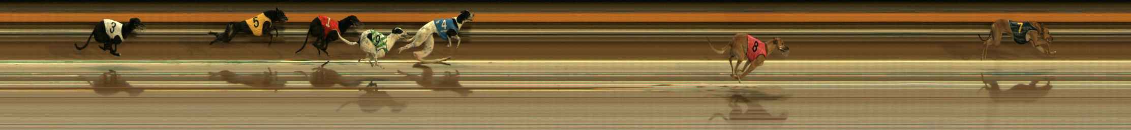 Photo finish for Ballarat Race 3