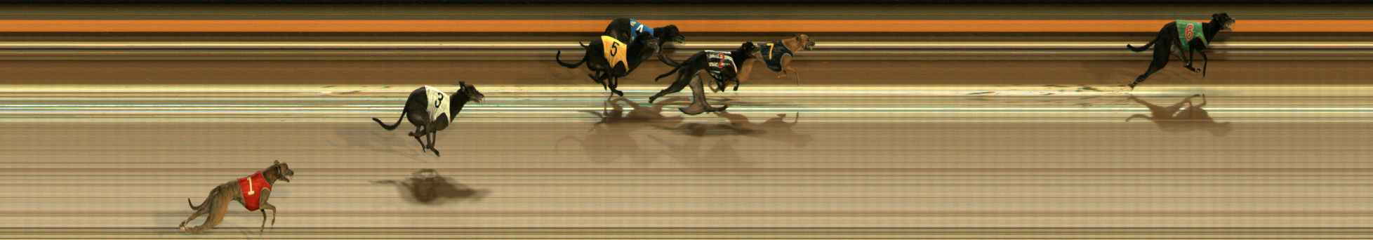 Photo finish for Ballarat Race 4