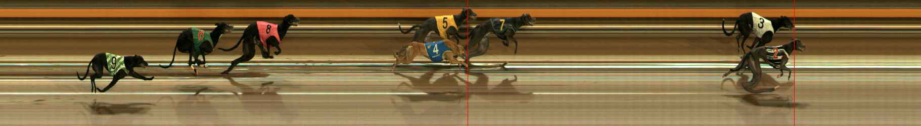 Photo finish for Ballarat Race 6