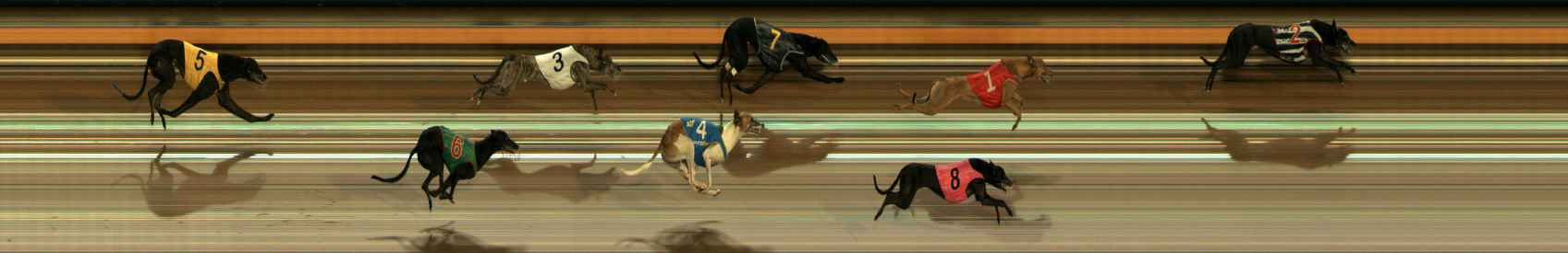 Photo finish for Ballarat Race 7
