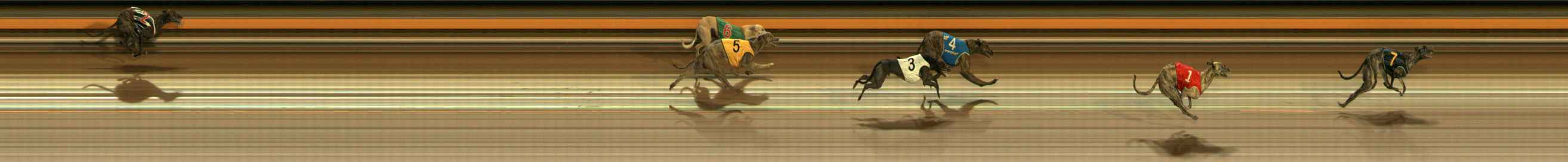 Photo finish for Ballarat Race 8