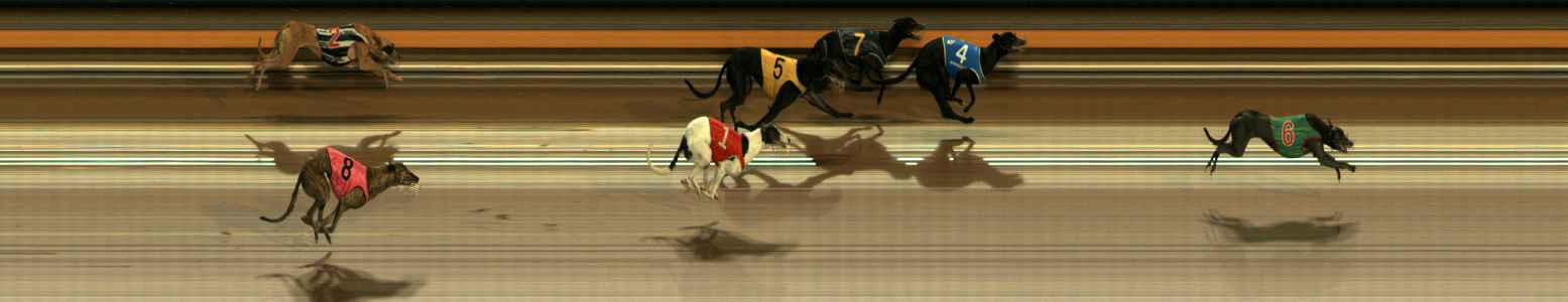 Photo finish for Ballarat Race 9