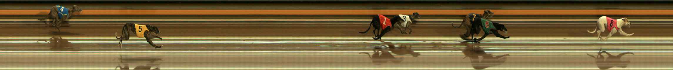 Photo finish for Ballarat Race 10