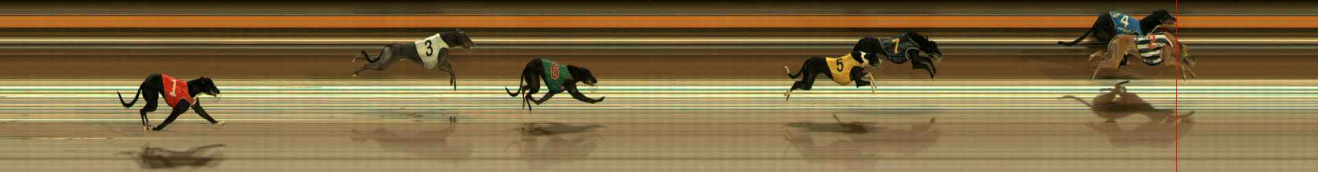 Photo finish for Ballarat Race 11