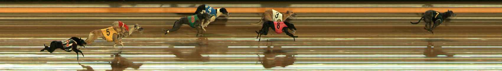 Photo finish for Ballarat Race 12
