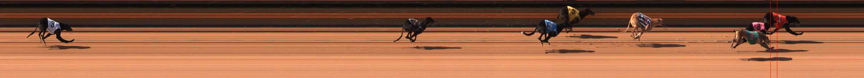 Photo finish for Ballarat Race 5