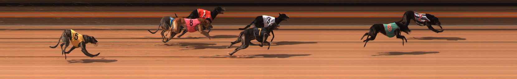 Photo finish for Ballarat Race 7