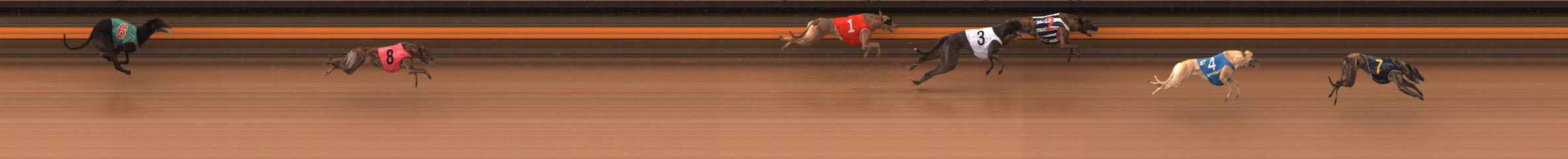 Photo finish for Ballarat Race 9