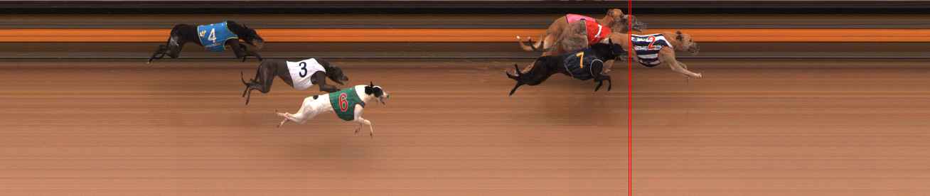 Photo finish for Ballarat Race 10