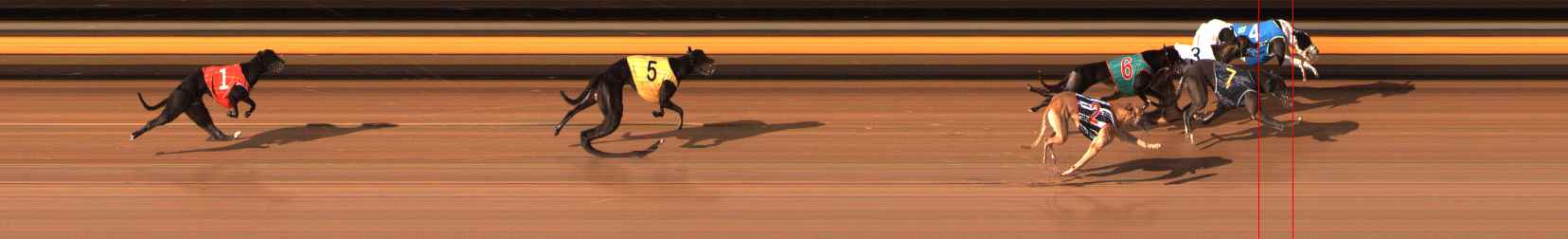 Photo finish for Ballarat Race 13