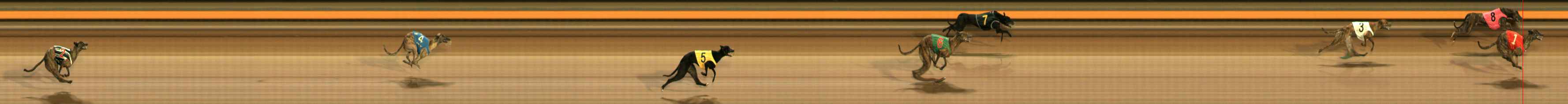 Photo finish for Ballarat Race 3