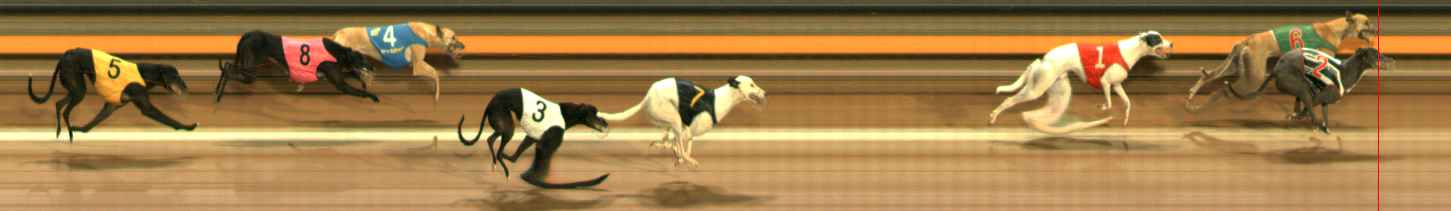 Photo finish for Ballarat Race 5
