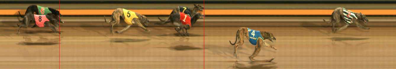 Photo finish for Ballarat Race 8