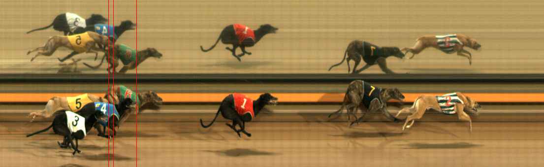Photo finish for Ballarat Race 11