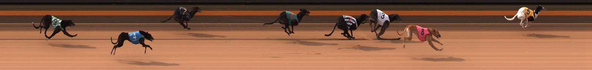 Photo finish for Ballarat Race 2