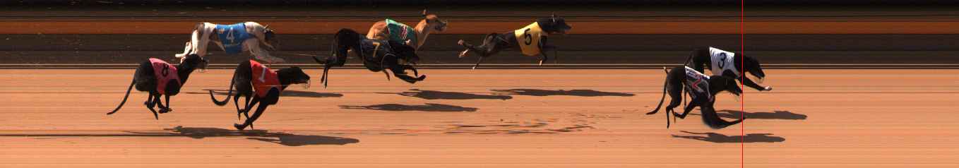 Photo finish for Ballarat Race 3