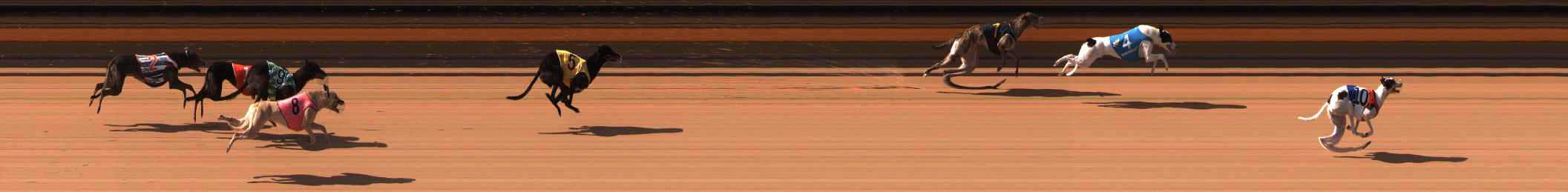 Photo finish for Ballarat Race 4