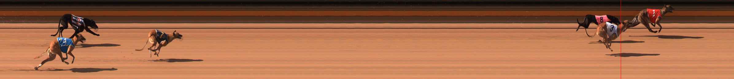 Photo finish for Ballarat Race 6