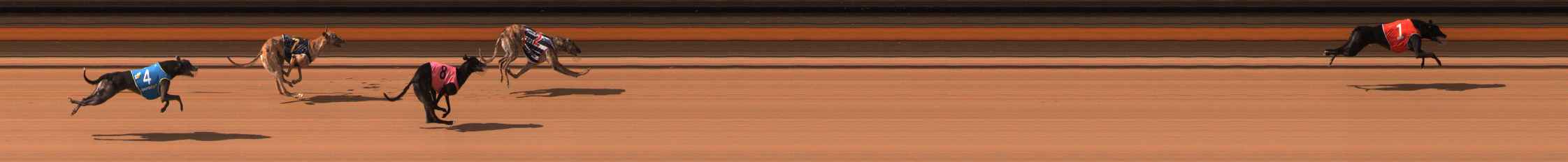Photo finish for Ballarat Race 7