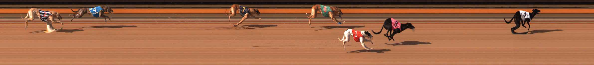 Photo finish for Ballarat Race 9