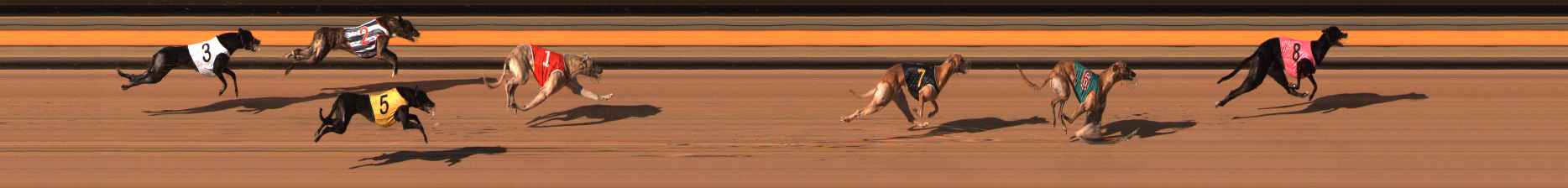 Photo finish for Ballarat Race 12