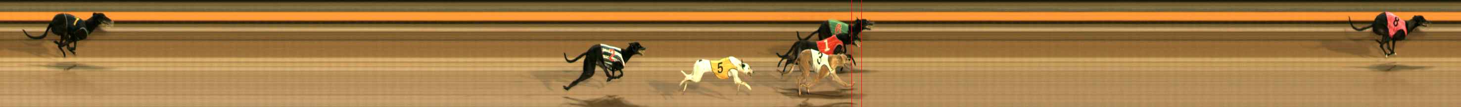 Photo finish for Ballarat Race 2