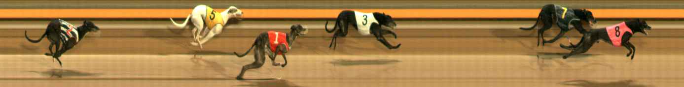 Photo finish for Ballarat Race 4