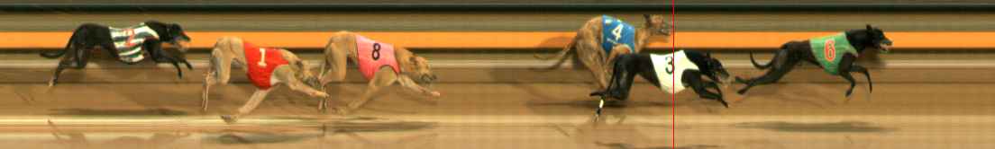 Photo finish for Ballarat Race 5