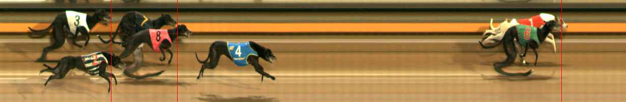 Photo finish for Ballarat Race 6