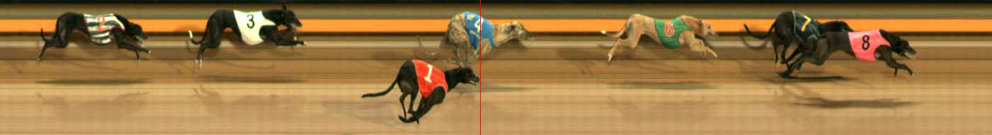 Photo finish for Ballarat Race 7
