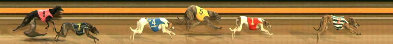 Photo finish for Ballarat Race 9