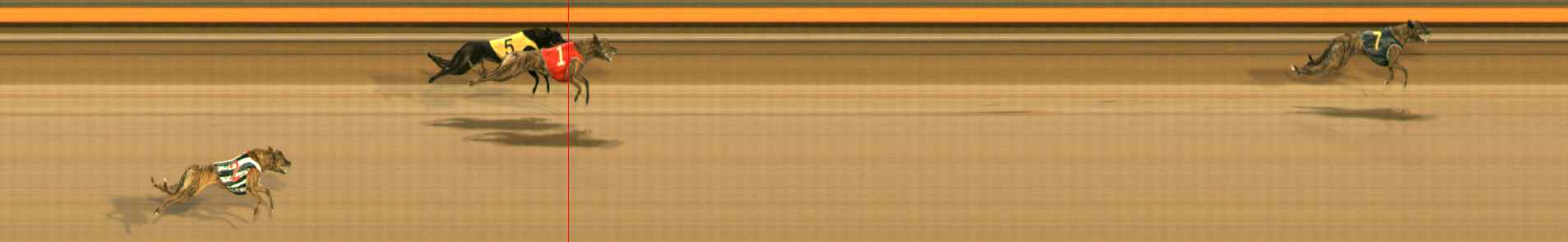 Photo finish for Ballarat Race 10