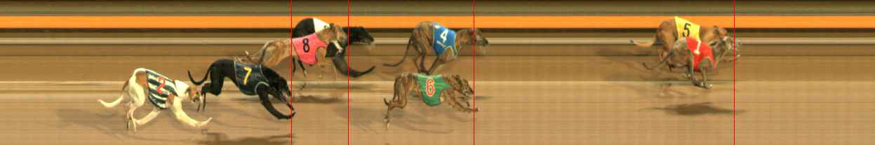 Photo finish for Ballarat Race 12