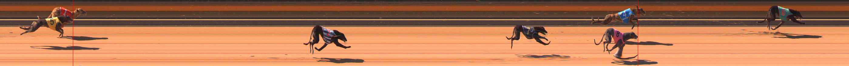 Photo finish for Ballarat Race 2