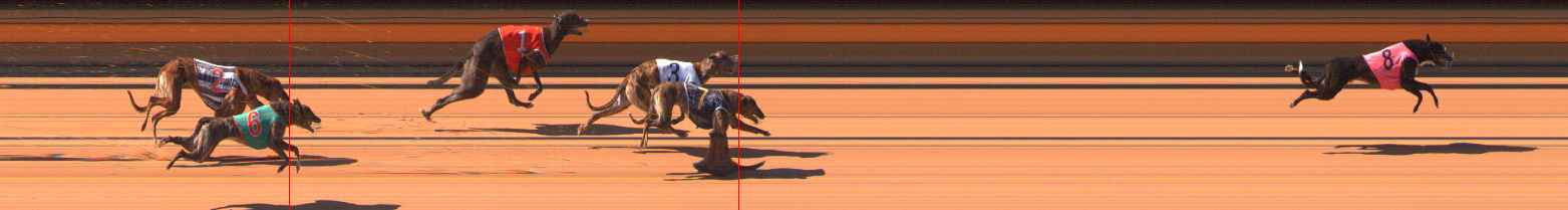 Photo finish for Ballarat Race 4
