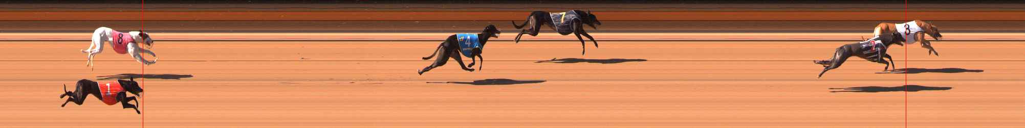 Photo finish for Ballarat Race 6